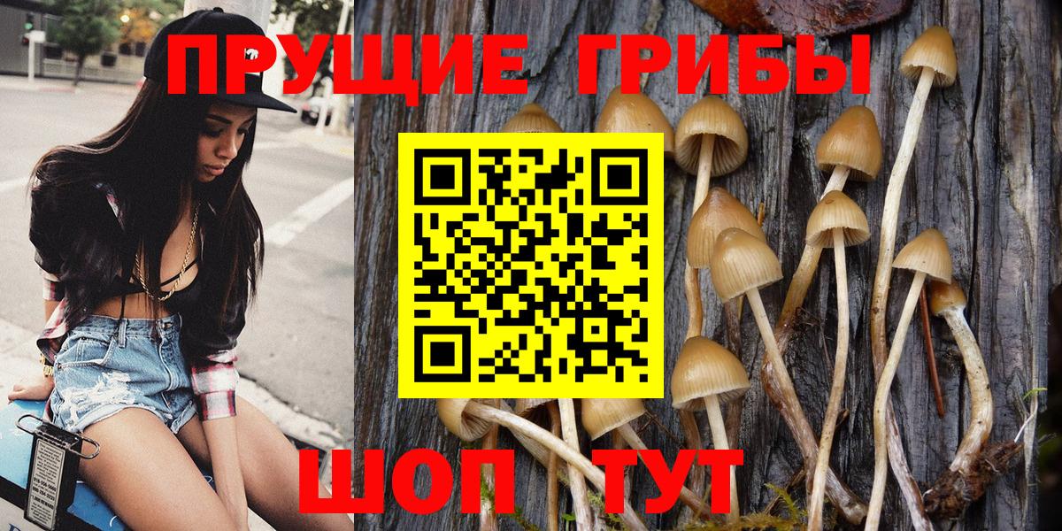 Псилоцибиновые грибы MAGIC MUSHROOMS  цена   Междуреченск  Вход с VPN 